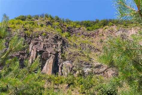 山坡上面野花多 野花紅似火